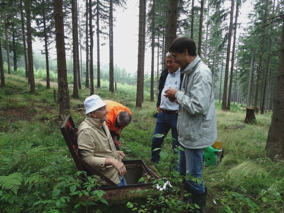 Hydraulischer Widder